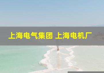 上海电气集团 上海电机厂